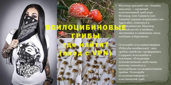 a pvp Коряжма