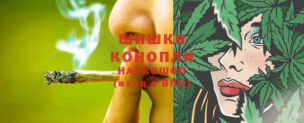 прущая мука Корсаков