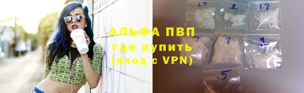 прущая мука Корсаков