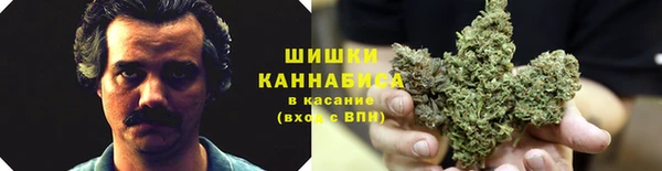 прущая мука Корсаков