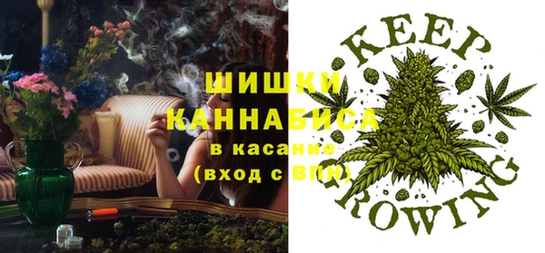 прущая мука Корсаков