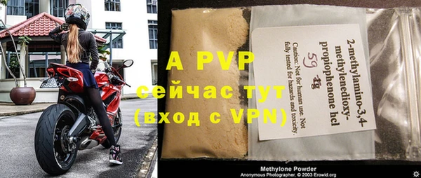 прущая мука Корсаков