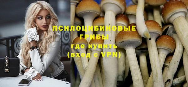 a pvp Коряжма