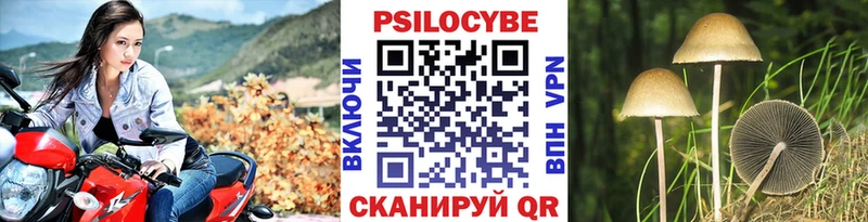 kraken зеркало  где купить наркоту  Костерёво  Псилоцибиновые грибы мицелий 
