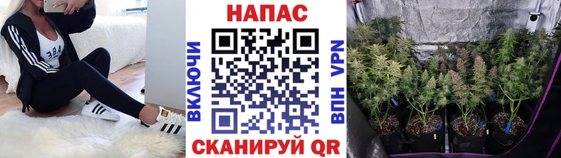 купить наркотики сайты  МЕГА маркетплейс  Бошки марихуана AK-47  Костерёво 